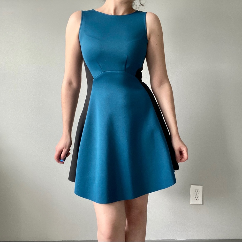 🌿NWOT Color Block Scuba Fit and Flare Dress